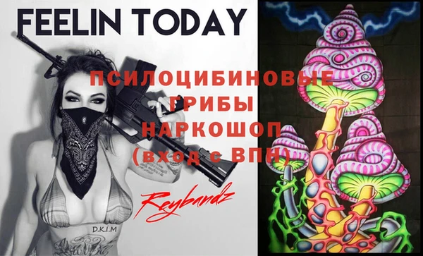 apvp Елизово