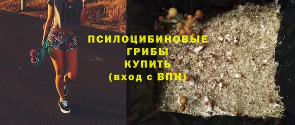 apvp Елизово
