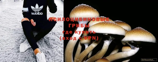 COCAINE Ельня