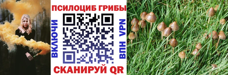 Купить где  Воткинск  Галлюциногенные грибы MAGIC MUSHROOMS 